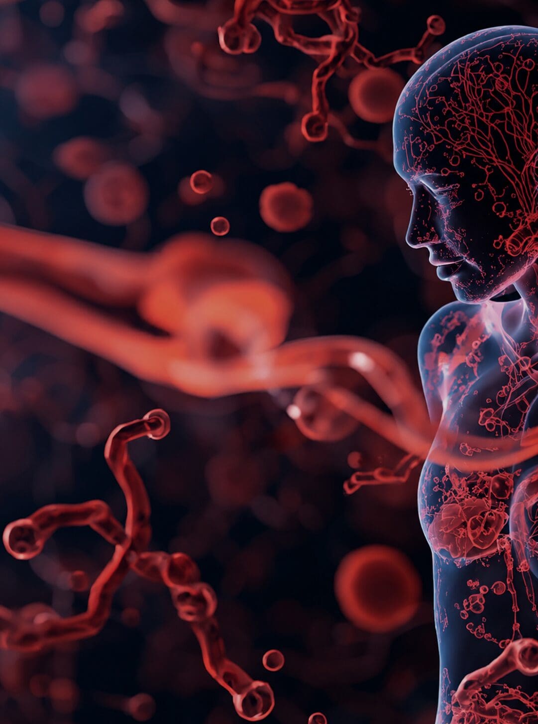Why Women's Heart Health Is More Complex Than a Cholesterol Number